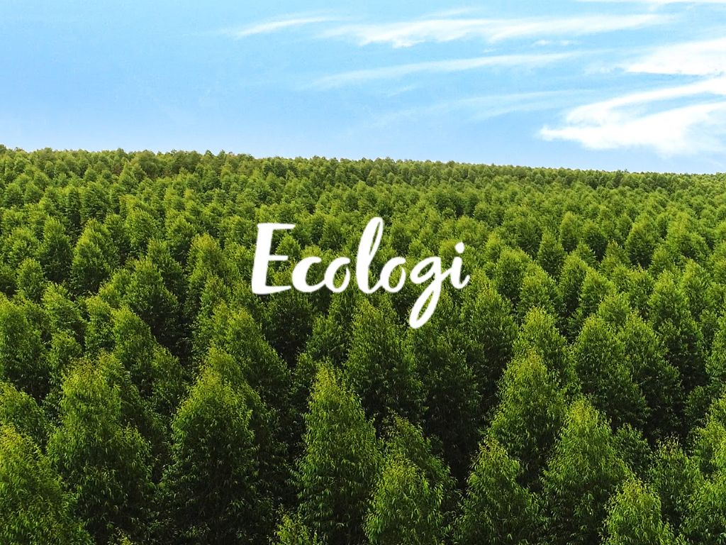 From Clicks to Conservation: Repeat Digital’s Commitment to Change